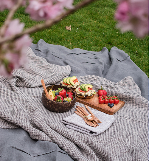 Picnic food